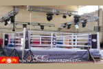 اولین دوره رقابتهای کمربند طلایی Mix Fighting دراستان البرز برگزار شد.